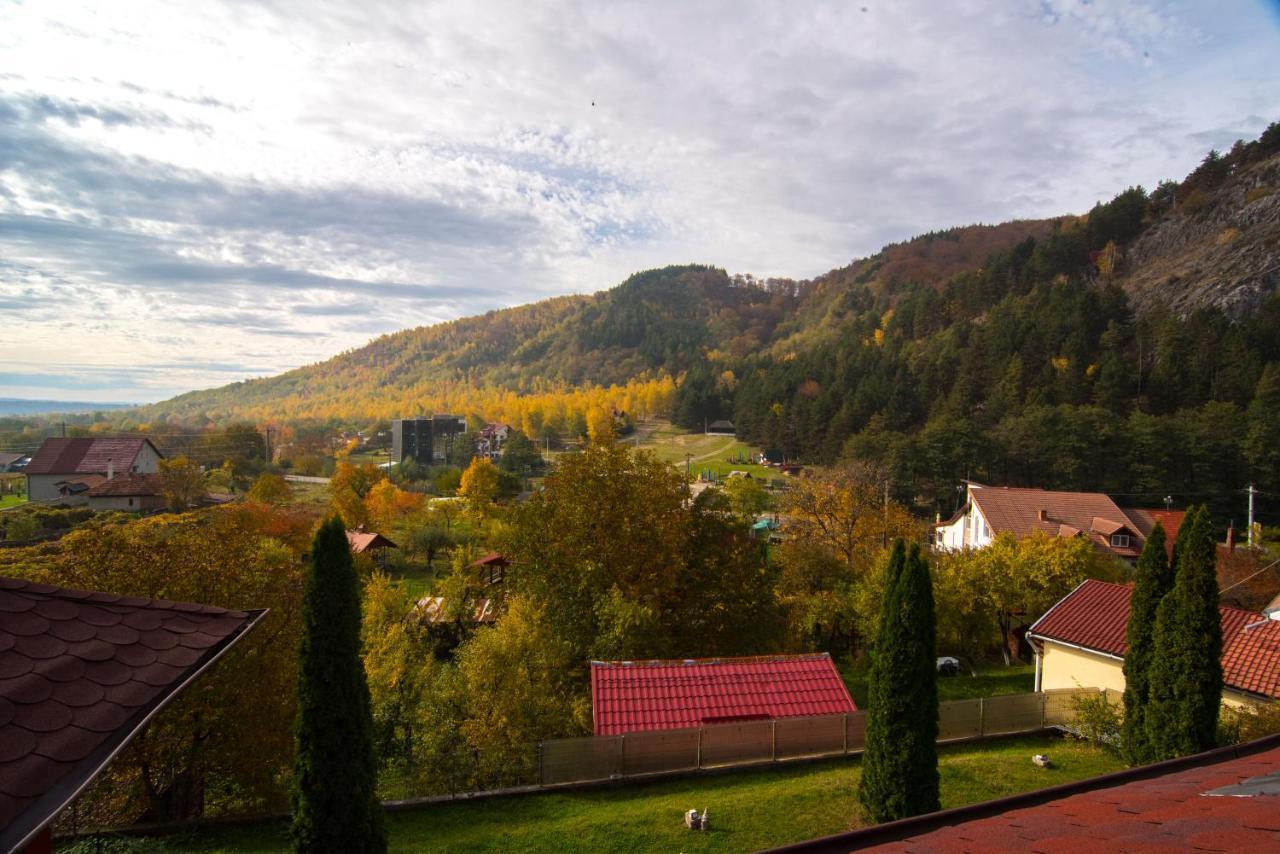 Villa Casa Domneasca Baia de Fier Esterno foto
