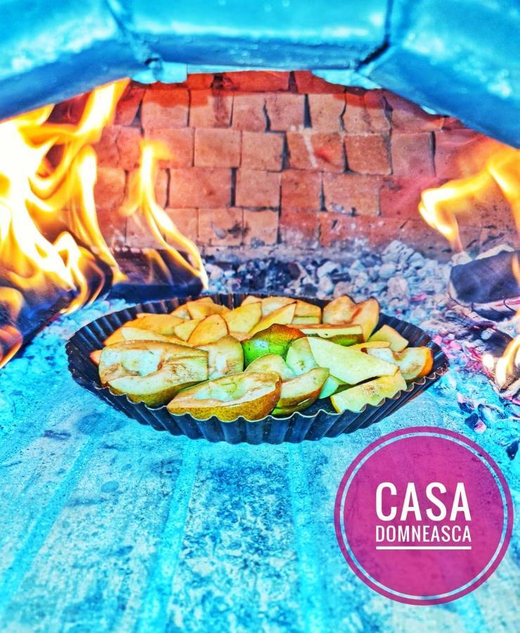 Villa Casa Domneasca Baia de Fier Esterno foto