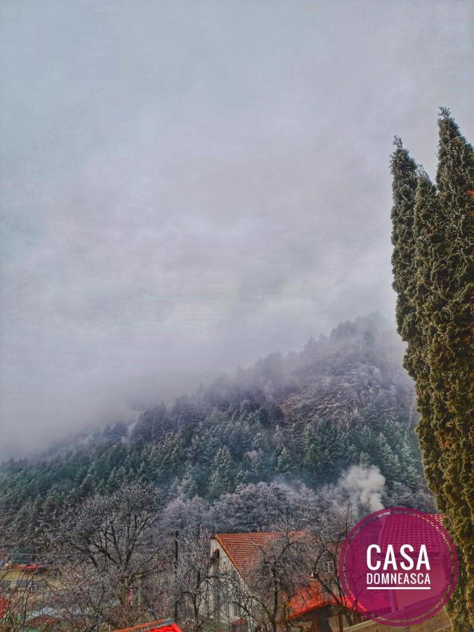Villa Casa Domneasca Baia de Fier Esterno foto