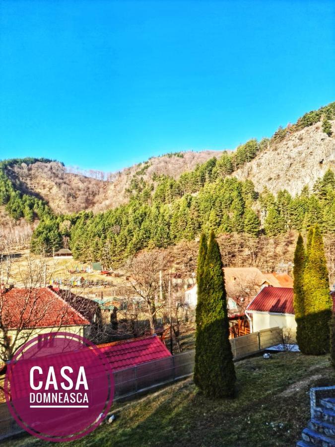Villa Casa Domneasca Baia de Fier Esterno foto