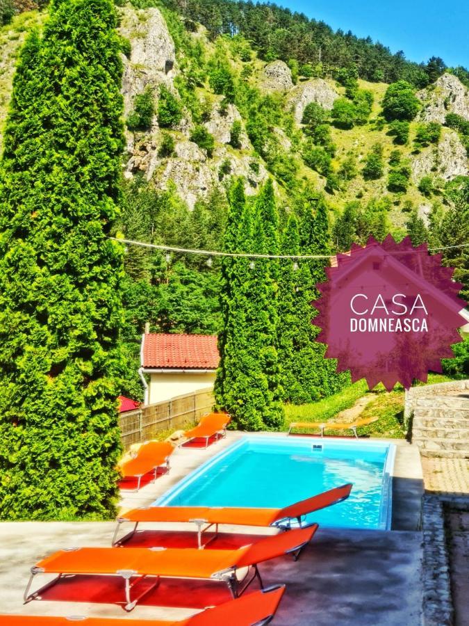 Villa Casa Domneasca Baia de Fier Esterno foto