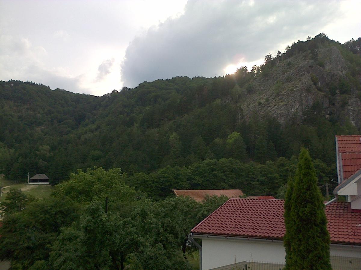 Villa Casa Domneasca Baia de Fier Esterno foto